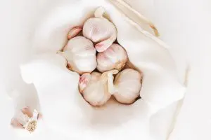garlic