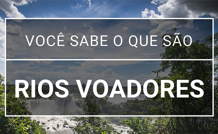 rios voadores