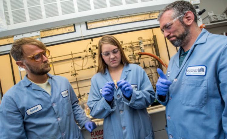 plástico PDK Cientistas que criaram o plástico PDK