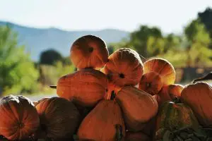 benefícios da abóbora