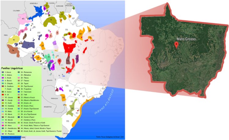 Comparativo do recorte do mapa das famílias linguísticas indígenas do Mato Grosso com a cobertura vegetal do Estado