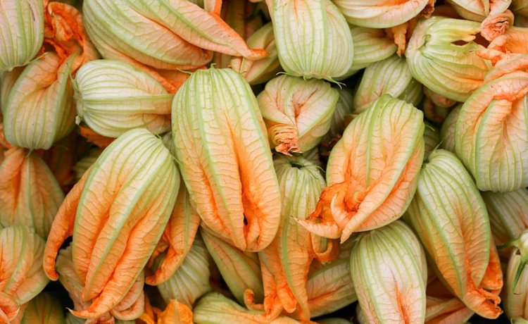 flor de abóbora