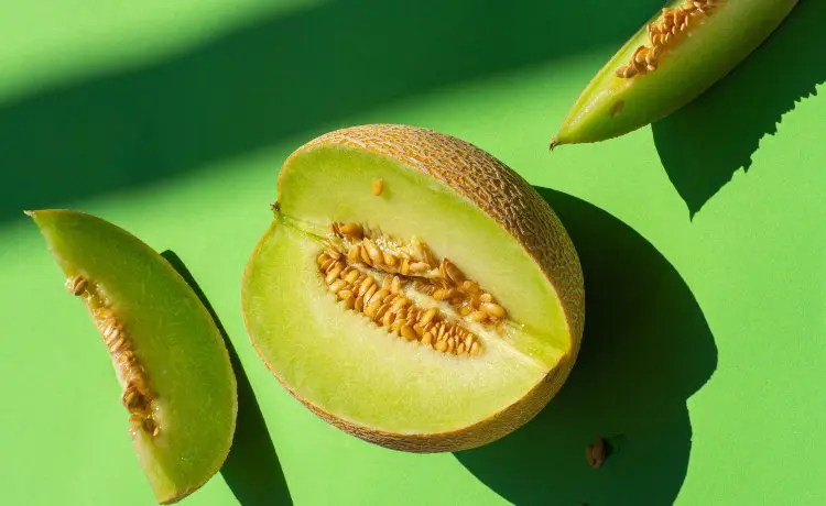 leite de semente de melão