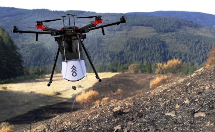 Drone planta árvores Drone planta árvores