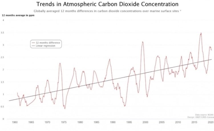 Gráfico CO2 Gráfico CO2
