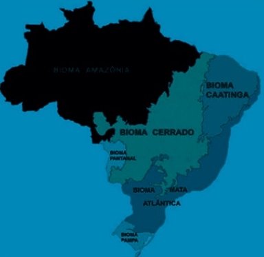 bioma amazônico