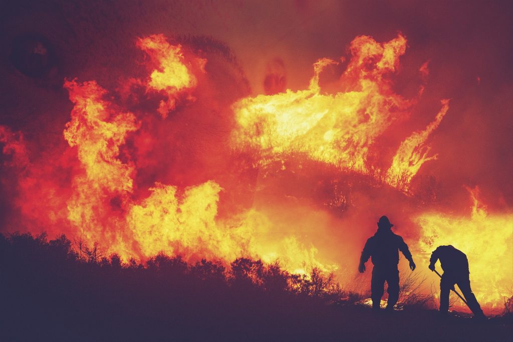 Fumaça de incêndio florestal