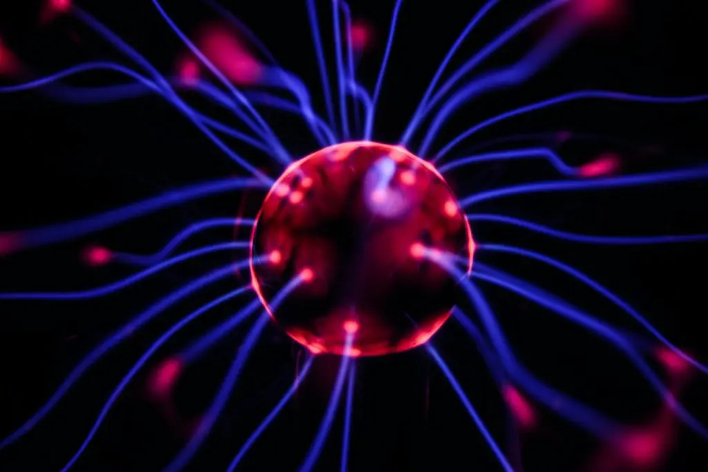 Neurodiversidade