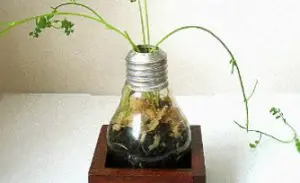 lâmpada incandescente pode virar um vaso