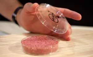 Hambúrguer feito com células-tronco