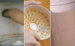 Dicas verdes que facilitam sua vida