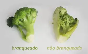 congelar legumes, frutas e verduras