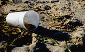 Copo de plástico na areia