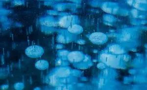 Bolhas de metano presas no gelo