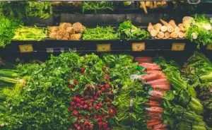 alface-verduras-frescas