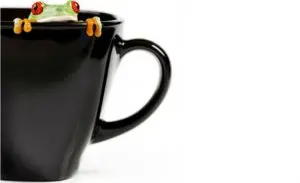 sapo dentro de uma caneca