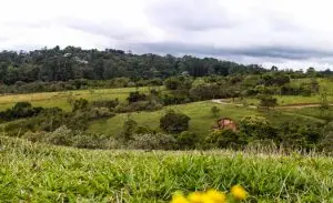 áreas de nascente de água