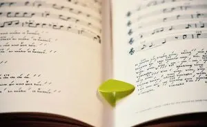 ecologia-acustica-pb