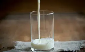 Copo de leite