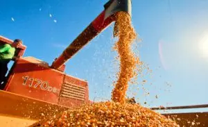 máquina agropecuário