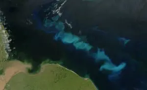 neutralização de carbono