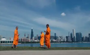 6º edição da Mostra Ecofalante de Cinema Ambiental