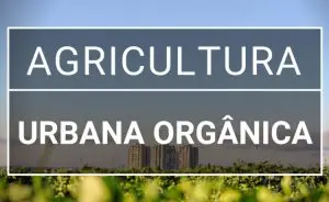 agricultura-urbana-organica