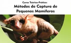Curso sobre captura de pequenos mamíferos
