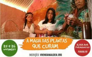 plantas medicinais