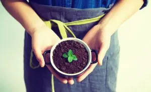 fertilizantes orgânicos