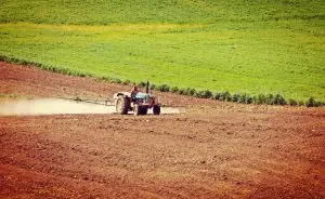 Dispersão de pesticidas em plantação em Adana, na Turquia
