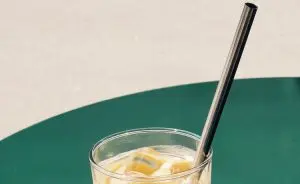 canudo de inox dentro de um copo com suco de laranja com gelos