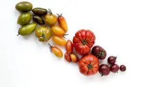 beneficios-do-tomate