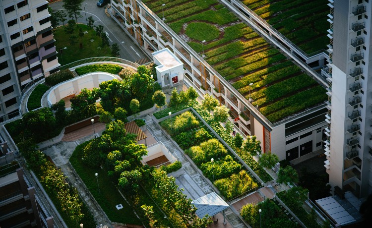 Urban farms can grow fruits and vegetables for 15% of the population