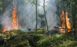 queimadas-na-amazonia