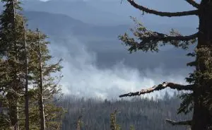 restauracao-ecologica