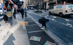 coletor de fezes de cachorro