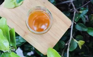 pasta de dente sem flúor