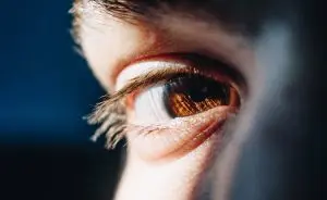 luteina-e-zeaxantina