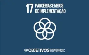 ODS 17