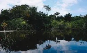 Rio Amazonas