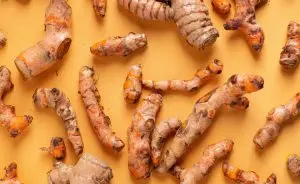 Como plantar cúrcuma