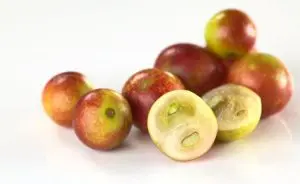 camu-camu
