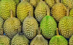 durian