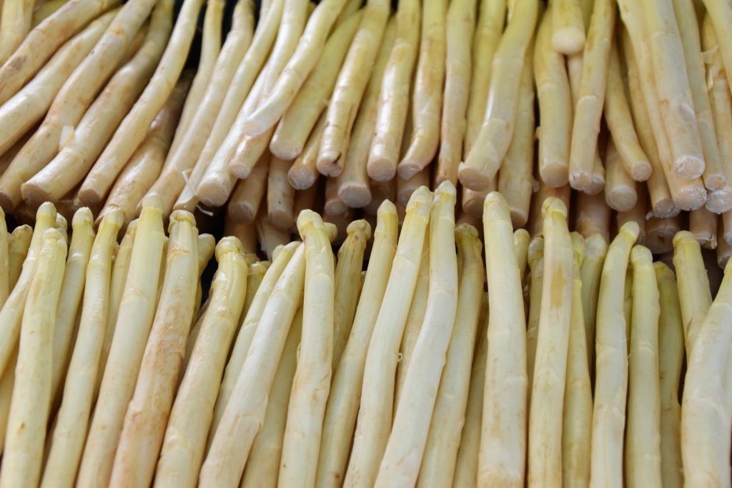como preparar broto de bambu
