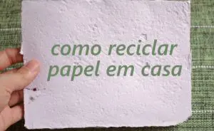 Aprenda como reciclar as caixas de Toddynho - eCycle