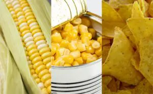 alimentos ultraprocessados e processados