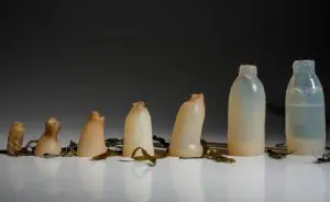 garrafa-agua-biodegradavel