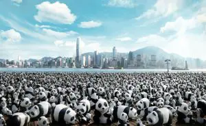 imagens-de-sustentabilidade