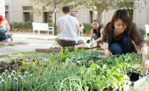 condomínios-sustentáveis
